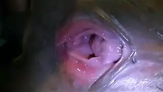 free porn tube: a day filled with nonstop xxx action