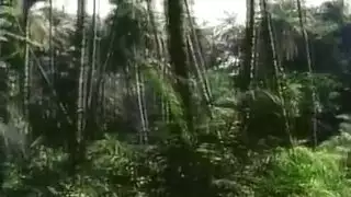 مشاهدة محرمة تشعل رغبة المعجبة للعب منفردة