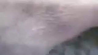 المعاكسات كمال الاجسام مثلي الجنس ومستقيم