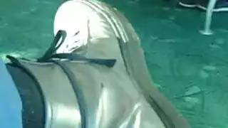 صوط نيك صنعاني طيز