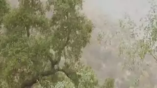 كس مراء سمينه