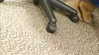 ينيكهافي الميترو و معها ابنها الرضيع