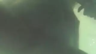 أفلام سكس أجنبية للبدينات مجانية بدون تحميل