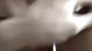 متعري مراهق مثار يتم تناوله من قبل معجب