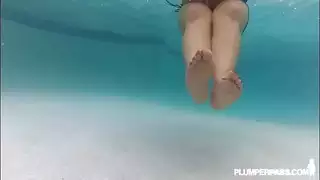 عيد الميلاد الديك صغير حوض السباحة