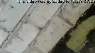 ثلاثي جنسي مكثف يترك ثدييها يقطران بالسائل المنوي