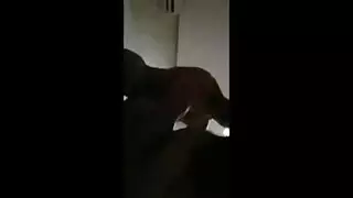 شاب لائق يمارس الجنس مع نجم إباحي سعودي راغب