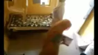 أثر قديم إسرائيلي مثليه الملاعين فتاة