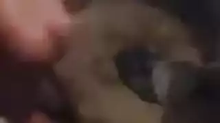 عميل متسلل يصور قضيبه الخام وهو في عاهرة الجمهورية