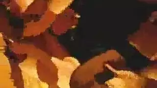 فيديو جنس تركي صريح مشهد طويل كامل