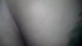 الكلبة البروستات