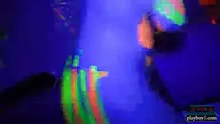 سيطرة الشيميل في مصارعة جماعية جامحة