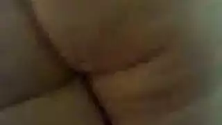 الكلبة شرفة مجموعة الجنس