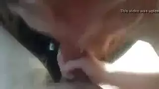 خجول دفع صغير ديك